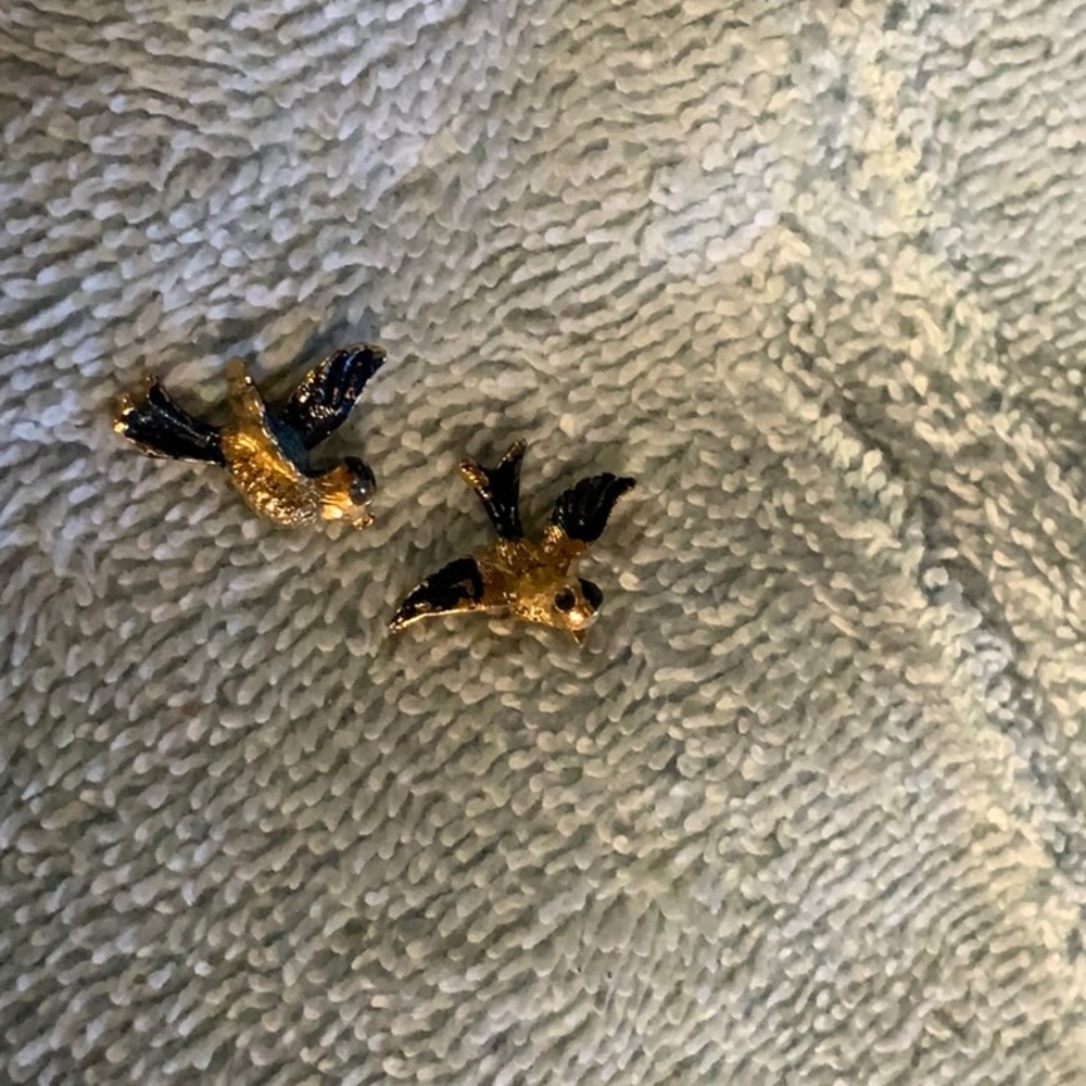 Two bluebird pins